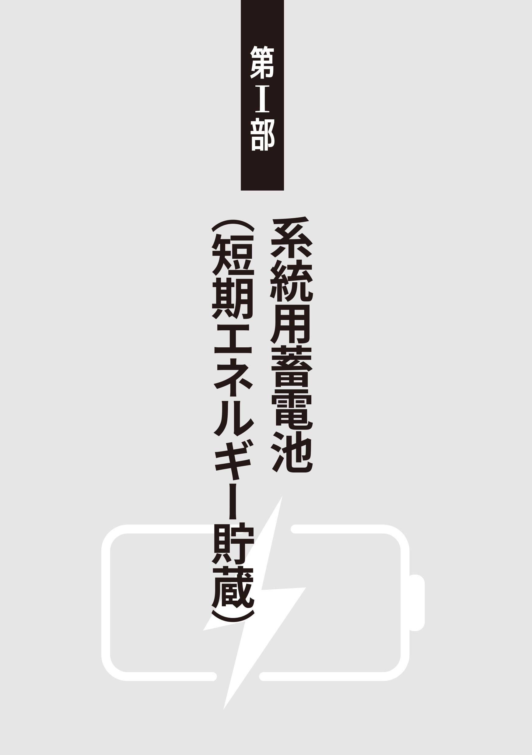 9784485301265.IN01.jpg